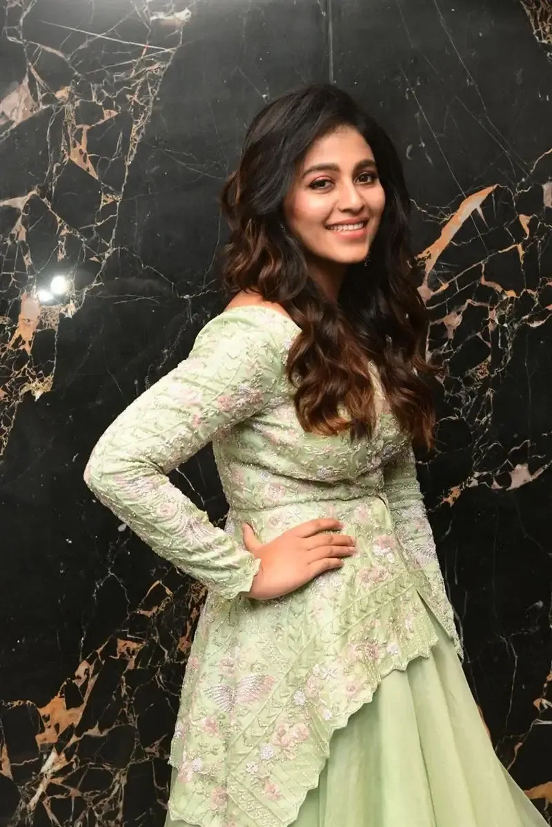 South Indian Actress Anjali Stills in Traditional Light Green Dress